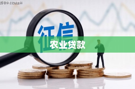 蛟河农业贷款