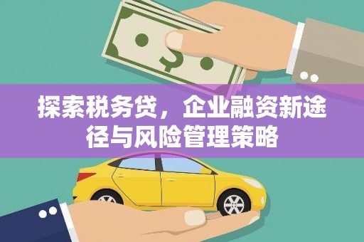 蛟河探索税务贷，企业融资新途径与风险管理策略