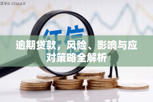 蛟河逾期贷款，风险、影响与应对策略全解析