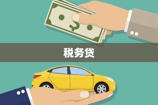 蛟河税务贷