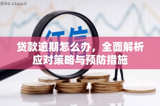 蛟河贷款逾期怎么办，全面解析应对策略与预防措施