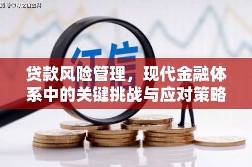 蛟河贷款风险管理，现代金融体系中的关键挑战与应对策略