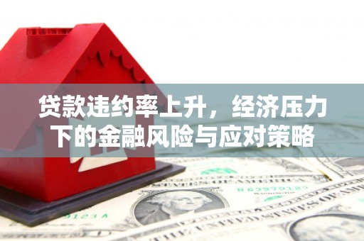 蛟河贷款违约率上升，经济压力下的金融风险与应对策略