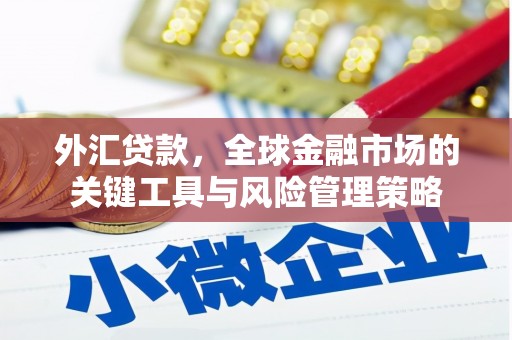 蛟河外汇贷款，全球金融市场的关键工具与风险管理策略