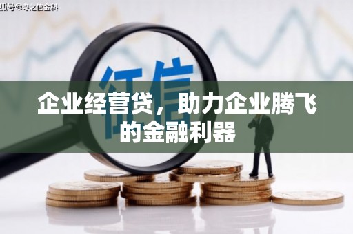 蛟河企业经营贷，助力企业腾飞的金融利器