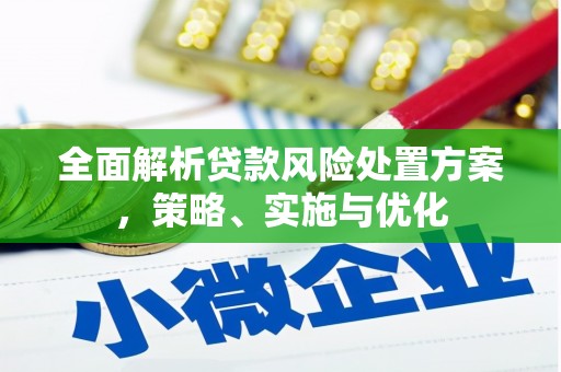 蛟河全面解析贷款风险处置方案，策略、实施与优化