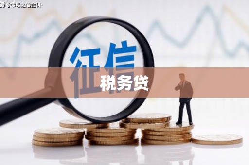 蛟河税务贷