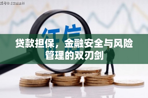 蛟河贷款担保，金融安全与风险管理的双刃剑