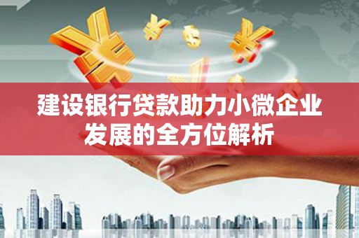蛟河建设银行贷款助力小微企业发展的全方位解析