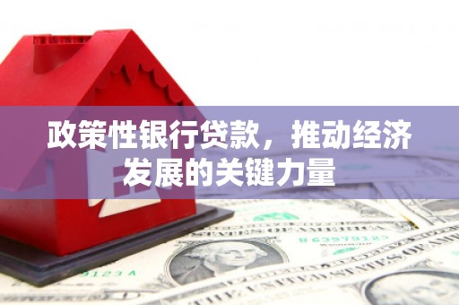 蛟河政策性银行贷款，推动经济发展的关键力量