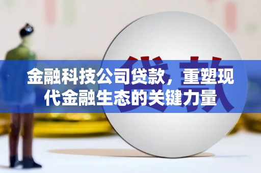 蛟河金融科技公司贷款，重塑现代金融生态的关键力量