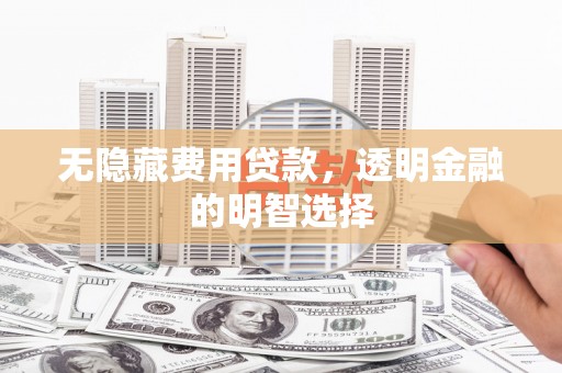蛟河无隐藏费用贷款，透明金融的明智选择