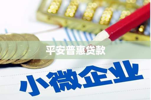 蛟河平安普惠贷款