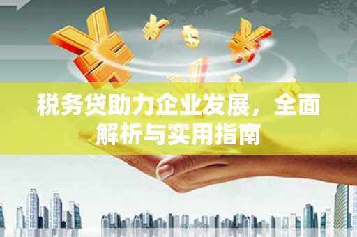 蛟河税务贷助力企业发展，全面解析与实用指南