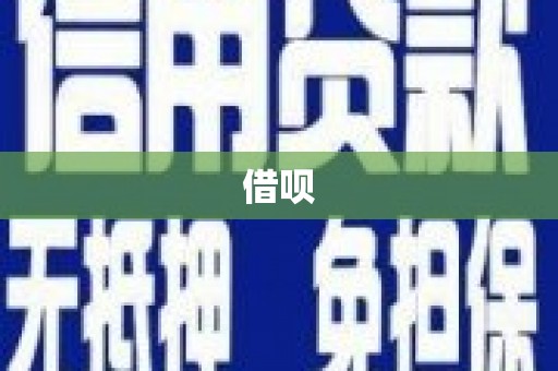 蛟河借呗