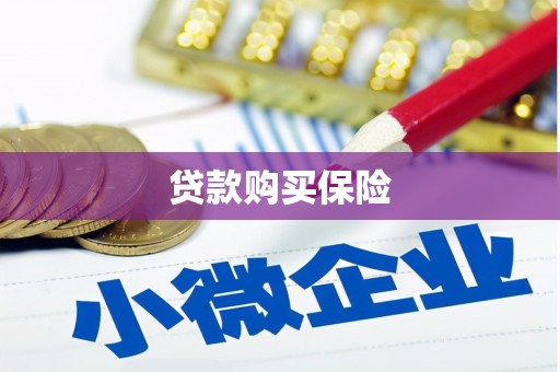 蛟河贷款购买保险