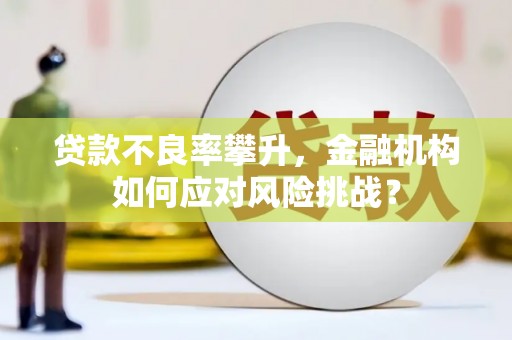 蛟河贷款不良率攀升，金融机构如何应对风险挑战？