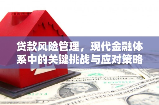 蛟河贷款风险管理，现代金融体系中的关键挑战与应对策略