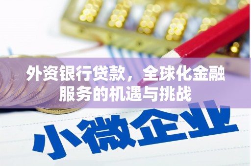 蛟河外资银行贷款，全球化金融服务的机遇与挑战