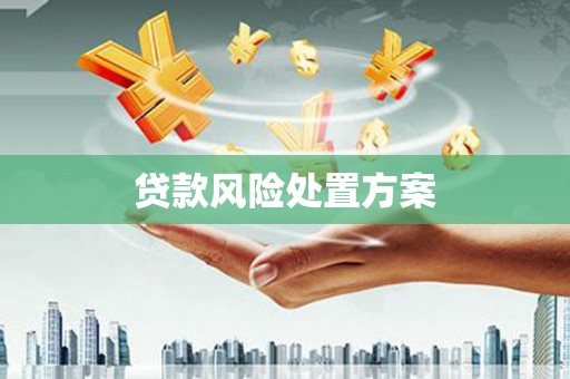 蛟河贷款风险处置方案