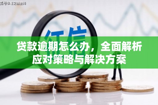 蛟河贷款逾期怎么办，全面解析应对策略与解决方案