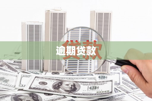 蛟河逾期贷款