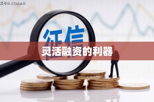 蛟河灵活融资的利器