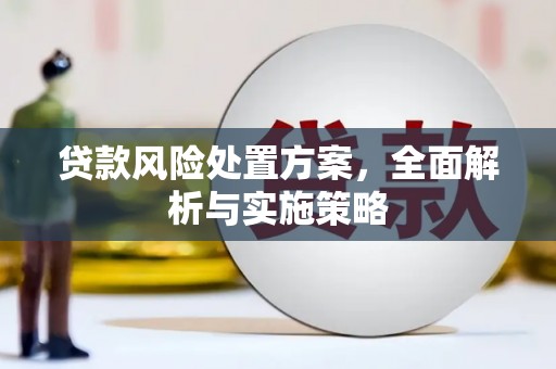 蛟河贷款风险处置方案，全面解析与实施策略