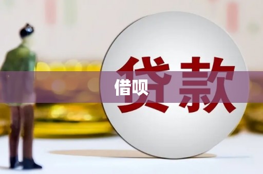 蛟河借呗