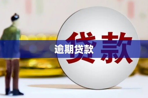 蛟河逾期贷款