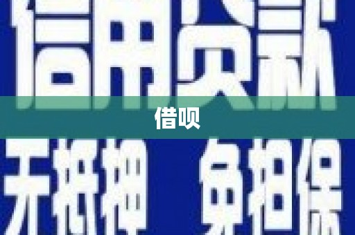 蛟河借呗