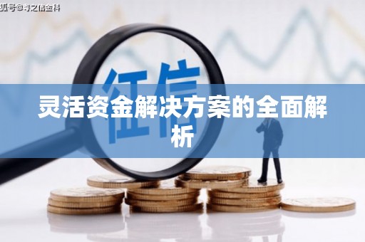 蛟河灵活资金解决方案的全面解析